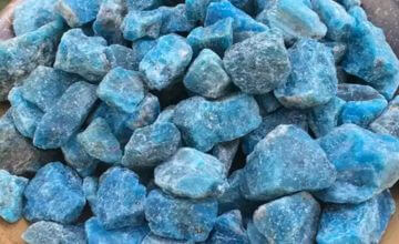 Phosphate sorting machine removing carbonate gangue